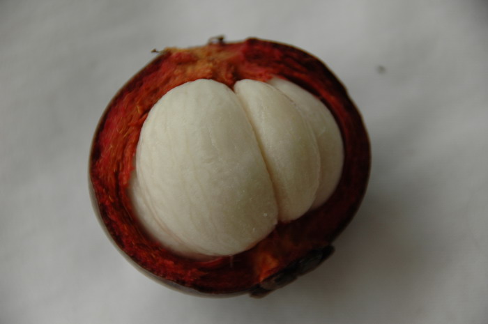 莽吉柿 Garcinia mangostana